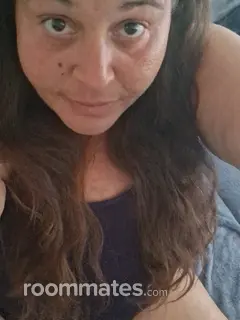Roommate looking Bradenton, FL, $500