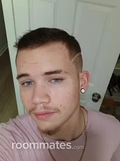 Roommate looking Kansas City, MO, $900