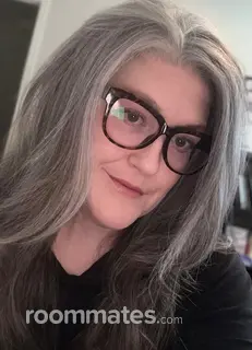 Roommate looking The Woodlands, TX, $800