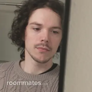 Roommate looking Bothell, WA, $800