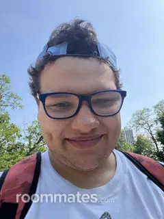 Roommate looking Des Plaines, IL, $1100