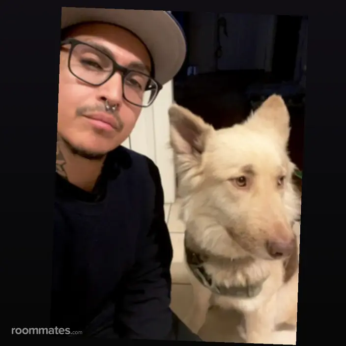Roommate looking Boulder, CO, $900