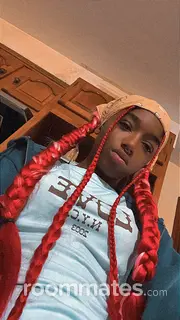 Roommate looking Saint Louis, MO, $500