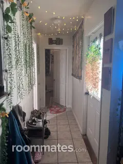 Thumbnail 13