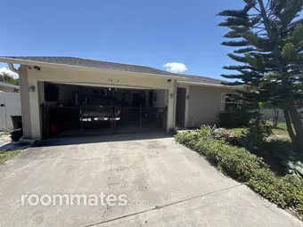 Room for rent in New Port Richey, FL $620, house