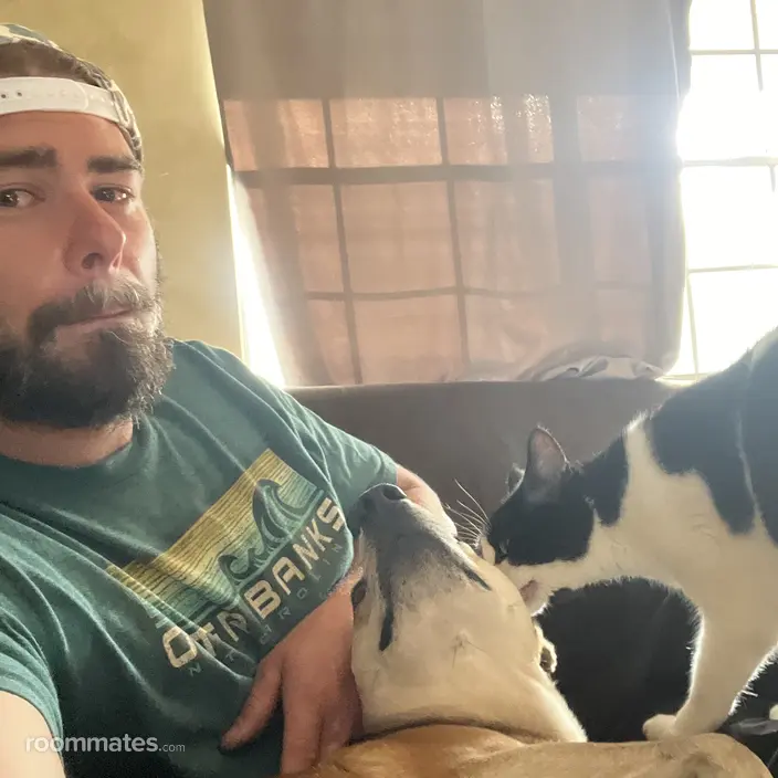 Roommate looking Saint Augustine, FL, $1200