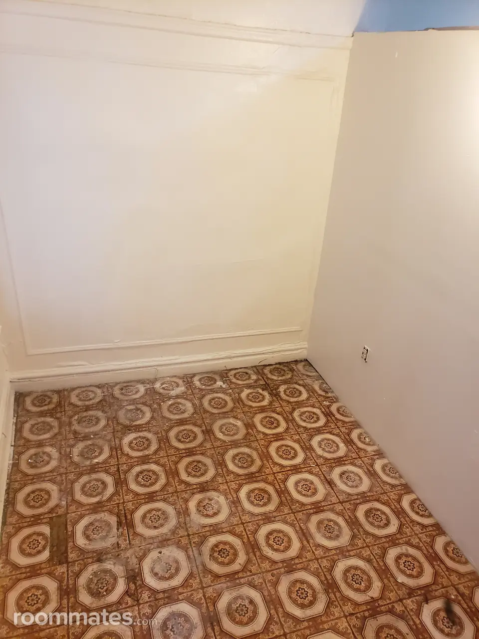 Profile photo 6 of 11