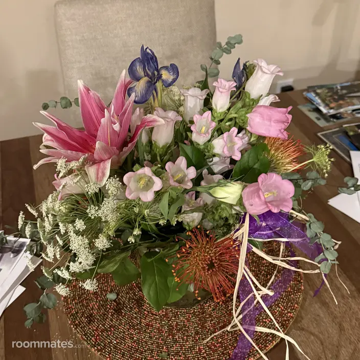 Roommate looking Phoenix, AZ, $800