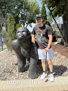 Roommate looking Monee, IL, $900