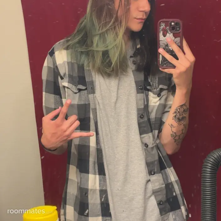 Roommate looking Longmont, CO, $1500