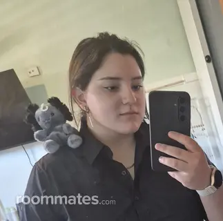 Roommate looking Commerce City, CO, $1000