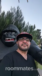 Roommate looking San Jose, CA, $1500