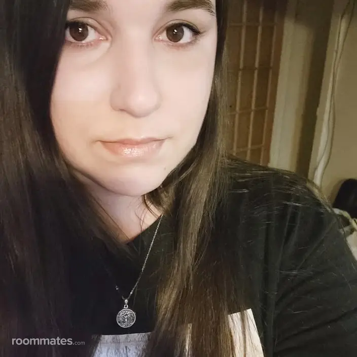 Roommate looking Taylor MI, $500
