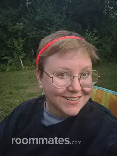 Roommate looking Frankfort, IL, $800