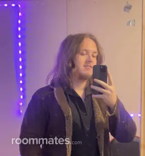 Roommate looking Oak Lawn IL, $700