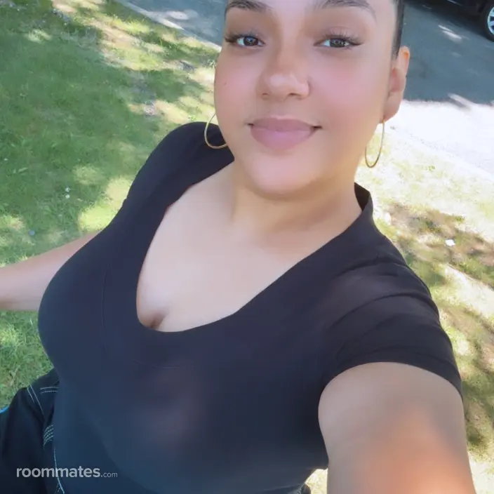 Roommate looking Yonkers, NY, $1200