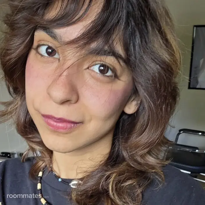 Roommate looking Waukegan, IL, $700