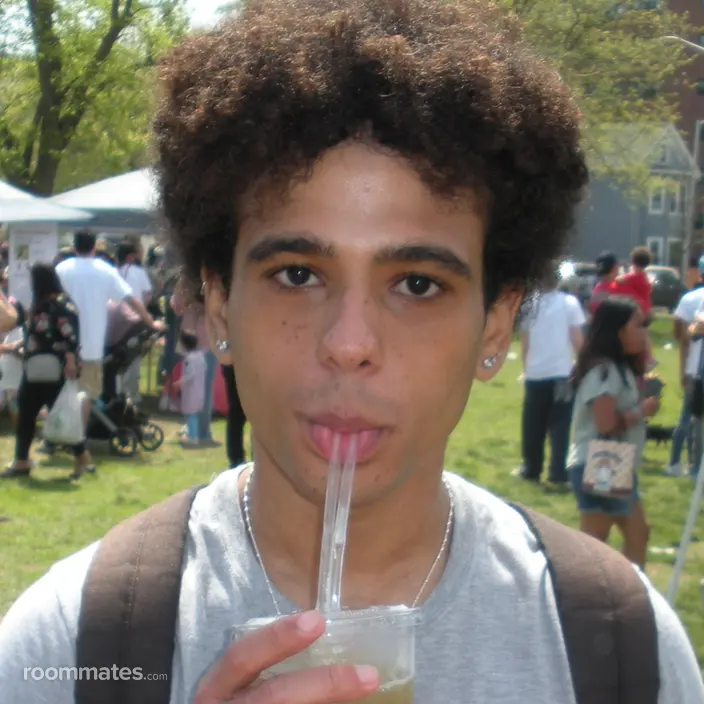 Roommate looking Allston, MA, $1000
