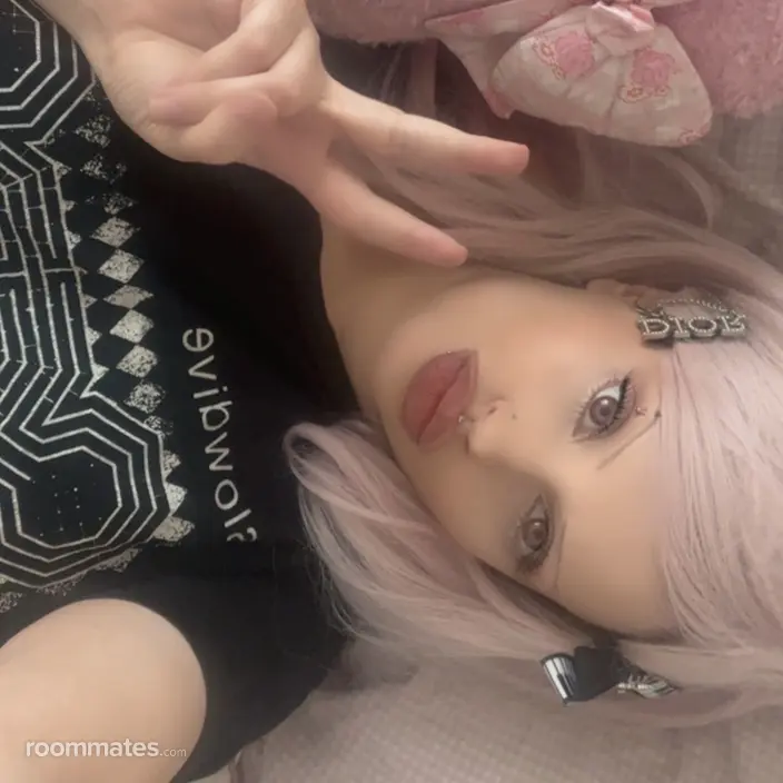 Roommate looking Bushwick, NY, $1400