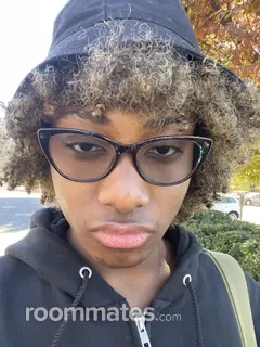 Roommate looking Richmond, VA, $900
