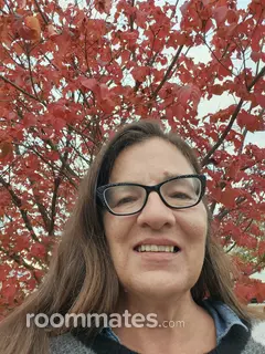 Roommate looking Raymond, NH, $800