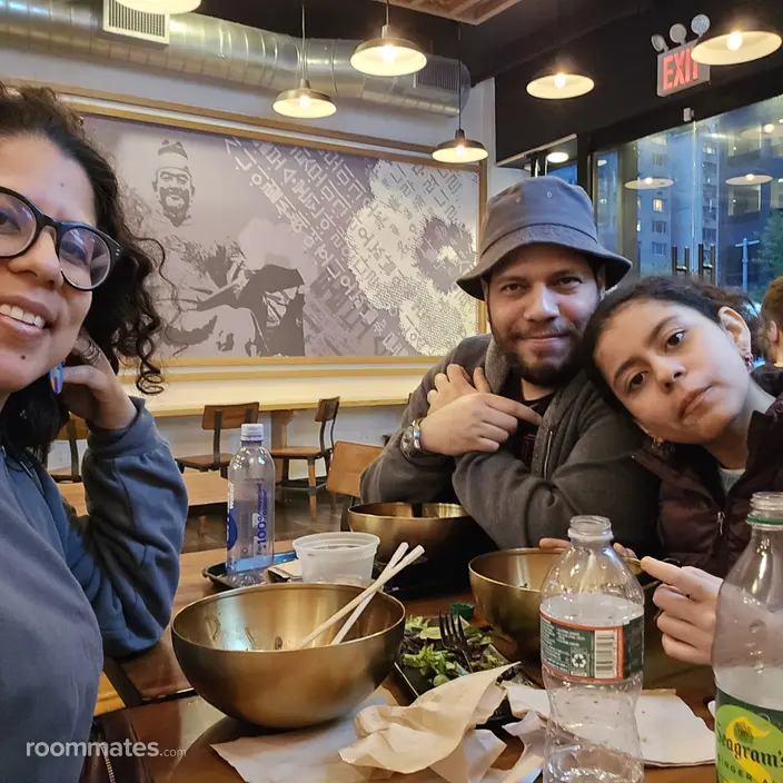 Roommate looking Chicago, IL, $900