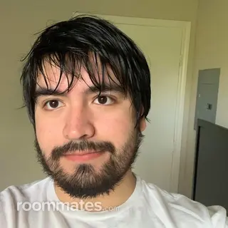 Roommate looking Dallas, TX, $1000
