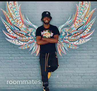 Roommate looking Chicago IL, $700