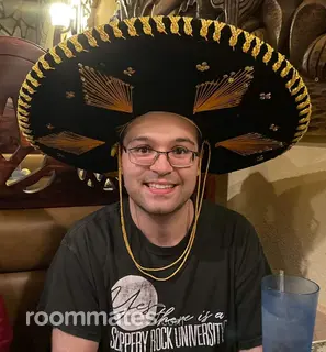 Roommate looking Pittsburgh, PA, $500