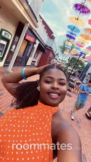 Roommate looking Pawtucket, RI, $600