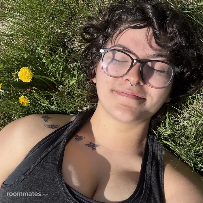 Roommate looking Longmont, CO, $1000