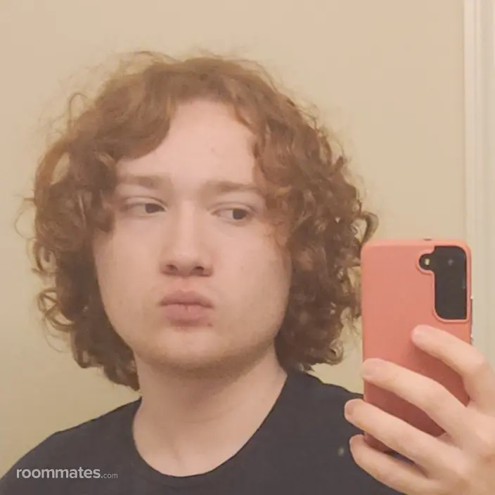 Roommate looking Cottleville, MO, $800