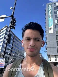 Roommate looking Albany, NY, $1200
