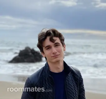 Roommate looking Santa Clara, CA, $1200