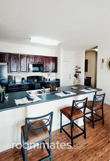 Room for rent in Arlington, TX $730, apartment
