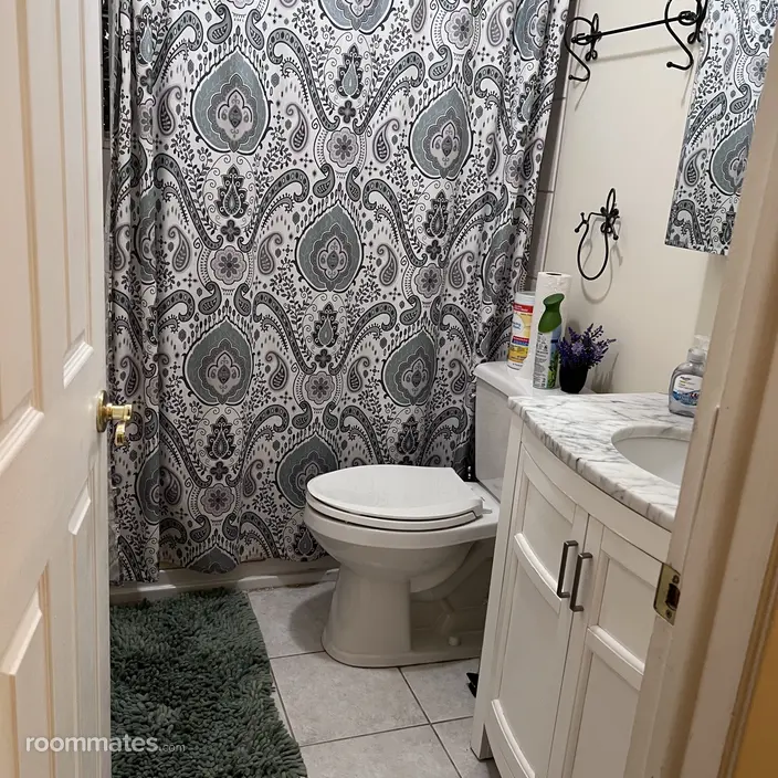 Room for rent in Chicago IL $1200, condo