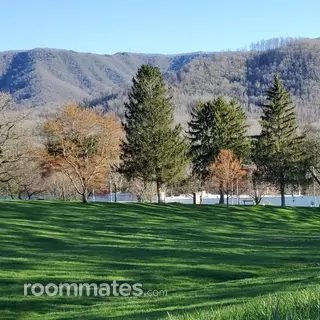 Room for rent in Swannanoa, NC $950, house