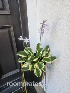 Room for rent in Chino Hills, CA $1550, house