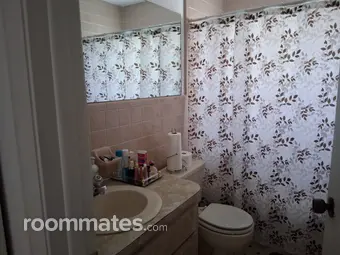 Room for rent in New Port Richey, FL $1000, condo