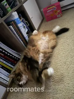 Profile photo of Margo