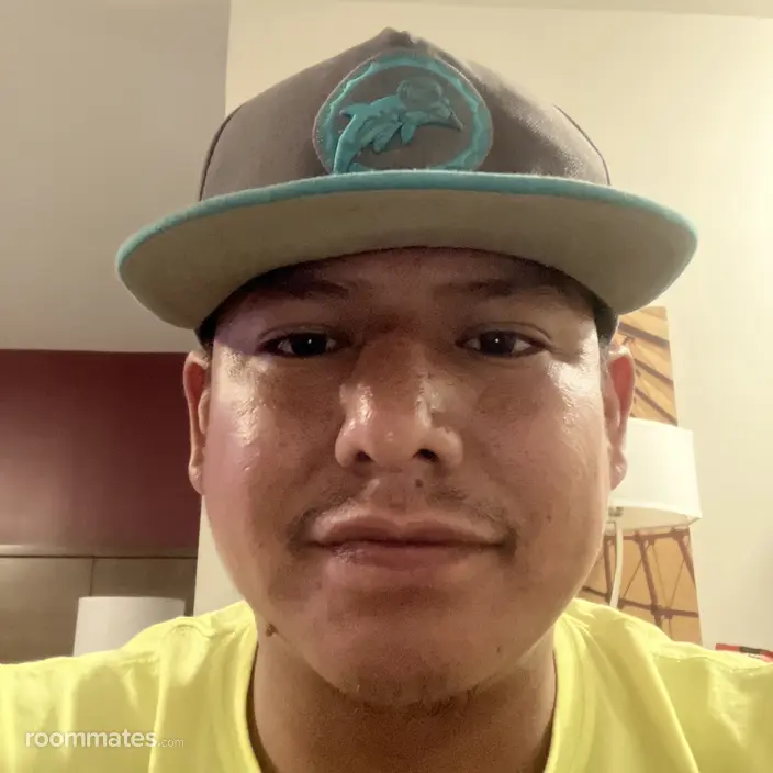 Roommate looking Phoenix, AZ, $800