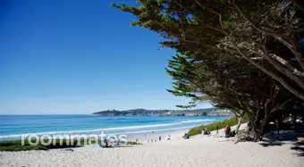 Roommate looking Carmel By The Sea, CA, $2000