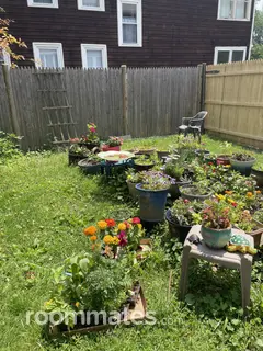 Room for rent in Worcester, MA $800, house