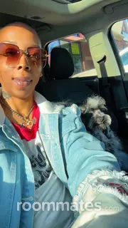 Roommate looking Inkster, MI, $800