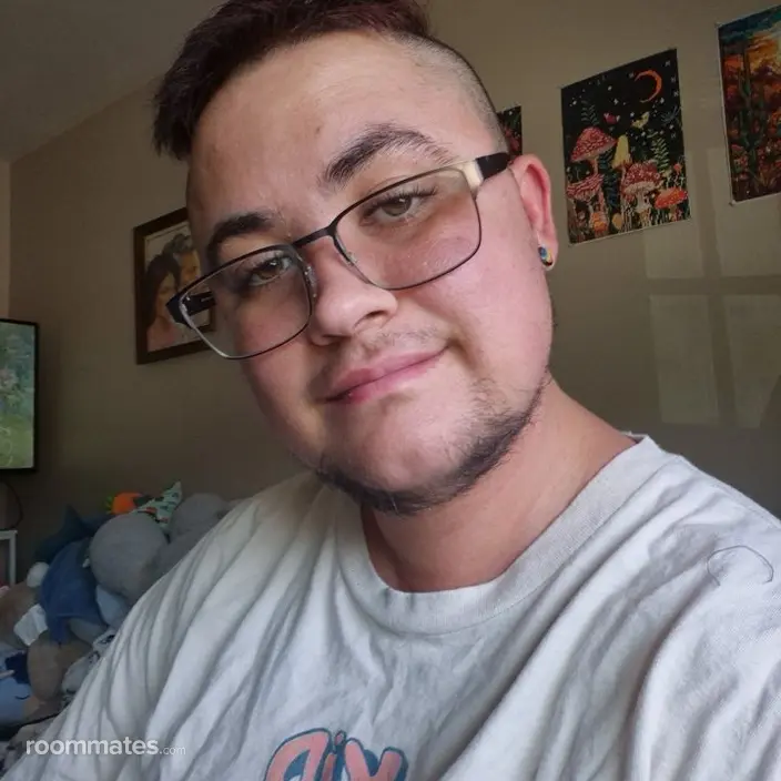 Roommate looking El Cajon, CA, $1000