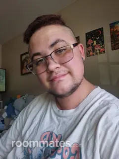 Roommate looking El Cajon, CA, $1000