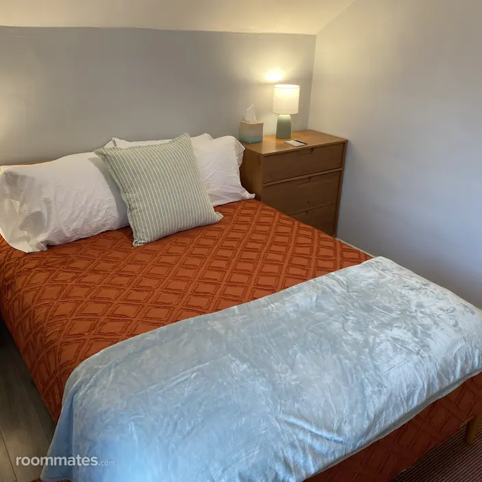 Room for rent in Ferndale, MI $850, house