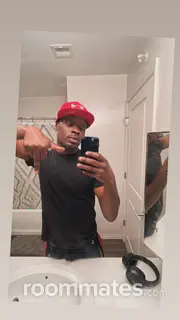 Roommate looking Saint Louis, MI, $600