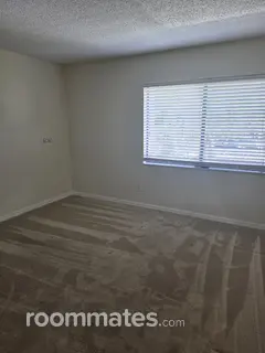 Room for rent in Palm Harbor, FL $900, condo