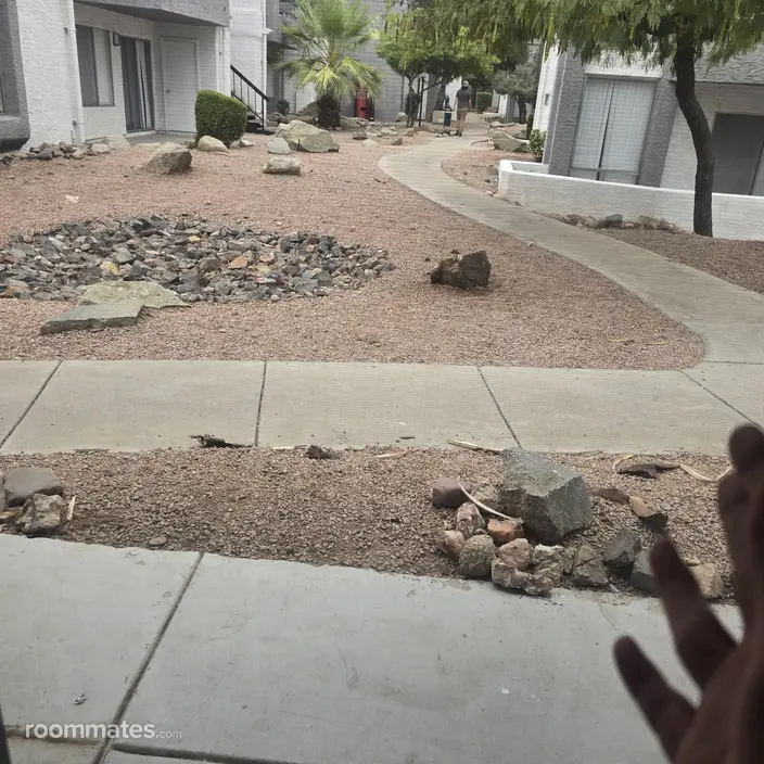 Room for rent in Phoenix, AZ $800, apartment